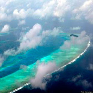 Canal privado sobre los Geckos Leopardo