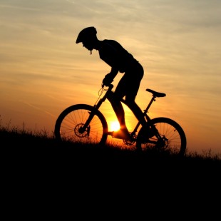 Formación deportiva