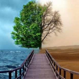 Tu actitud ante la vida. 