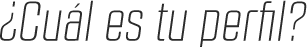 ¿Cuál es tu perfil?
